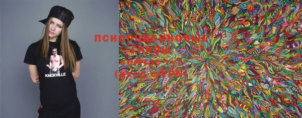 mdma Богородск