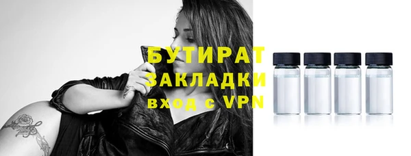индика Инсар