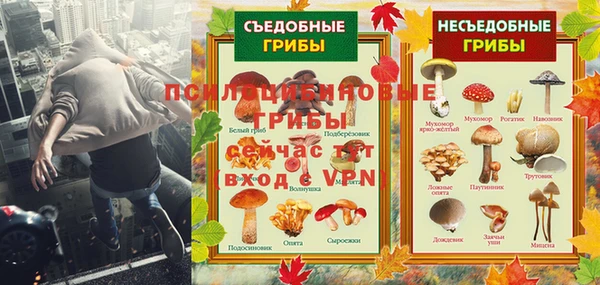 mdma Богородск