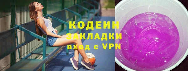 твердый Богданович